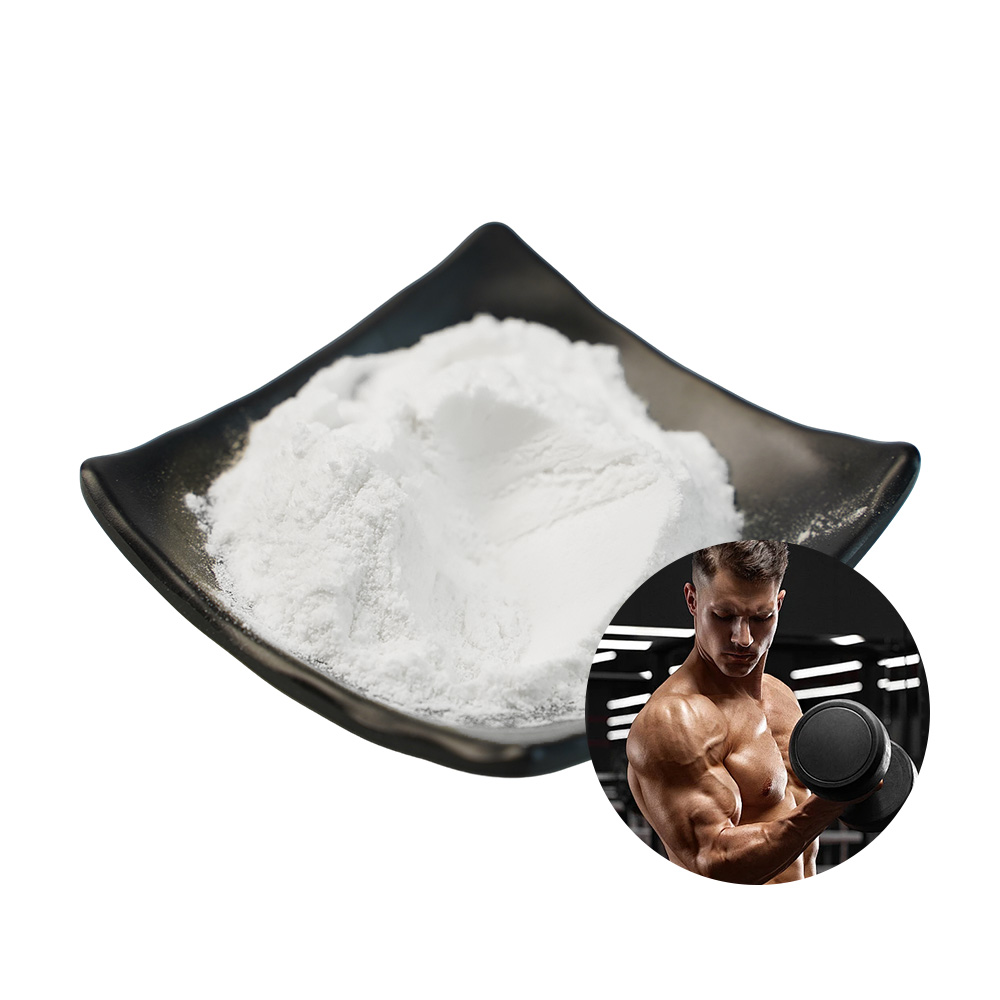 Bulk Creatine Monohydrate Powder